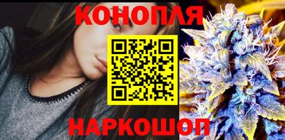 гидропоника Кунгур
