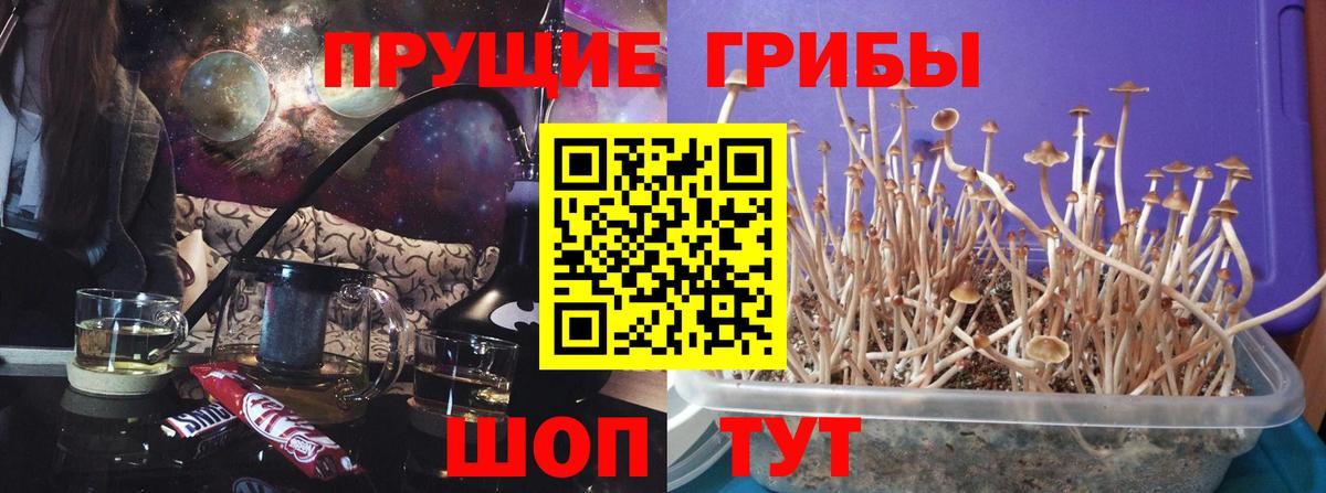 Галлюциногенные грибы MAGIC MUSHROOMS Шатура